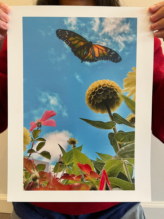 KnoFu Exclusive Artist Print - KILJOY "Sundaze"